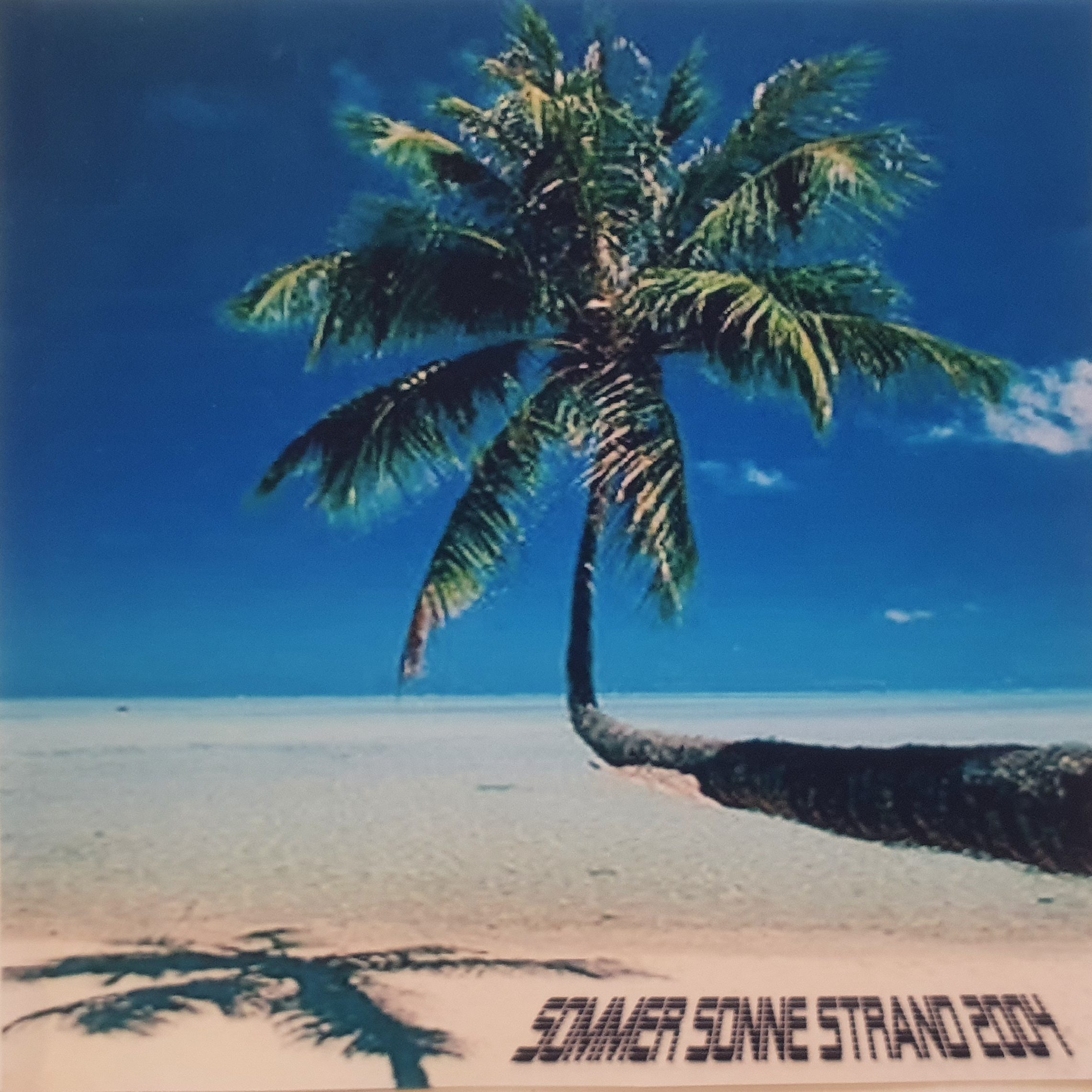 SommerSonneStrand 2004 (mixed by DJ Konsumbrötchen) 2004